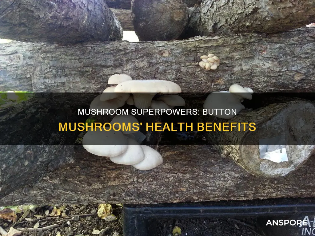 how healthy are button mushrooms