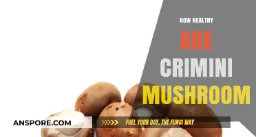 Crimini Mushrooms: Healthy Superfood or Just a Fad?