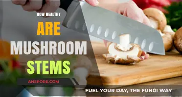 Mushroom Stems: Nutritional Powerhouses or Not?