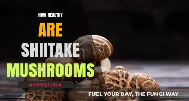 Shiitake Mushrooms: Superfood or Super-Myth?