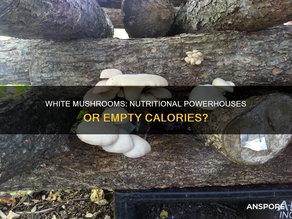 how healthy are white mushrooms