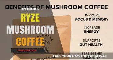 Ryze Mushroom Coffee: Healthy Brew or Hype?