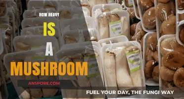 Mushroom Weight: A Surprising Truth