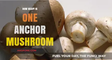 The Weighty Issue of Anchor Mushrooms