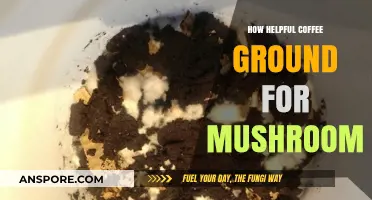 Coffee Grounds: Magic Mushroom Fuel