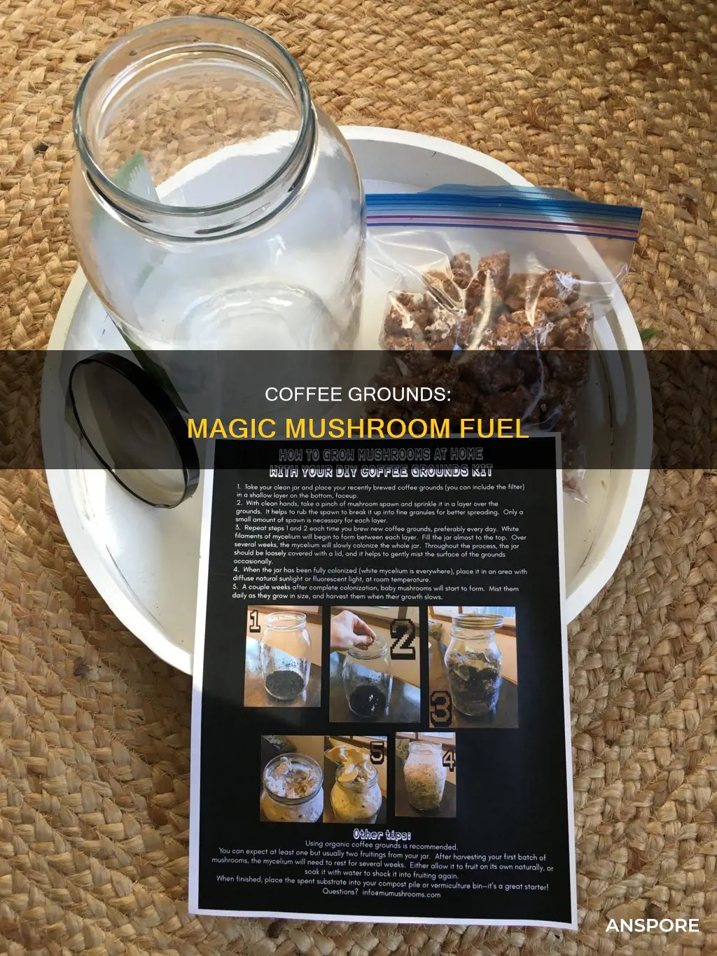 how helpful coffee ground for mushroom