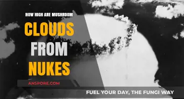 The Height of Nuclear Mushroom Clouds