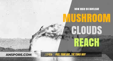 The Deadly Reach of Nuclear Mushroom Clouds