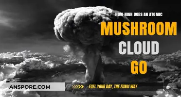 The Height of Atomic Mushroom Clouds: How High Do They Reach?