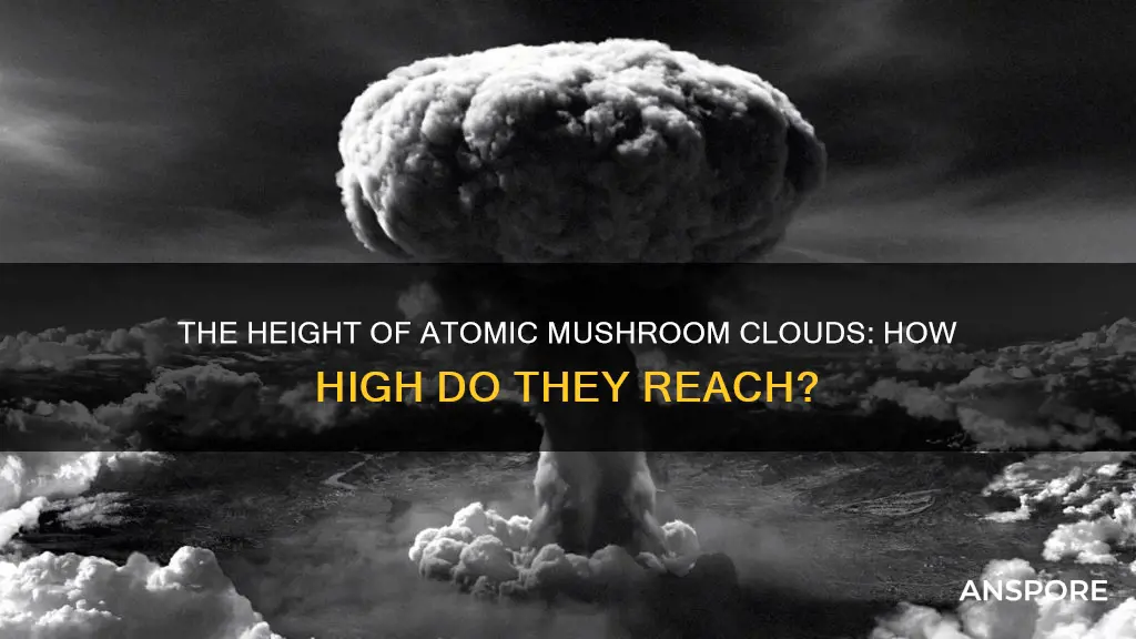 how high does an atomic mushroom cloud go