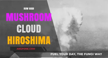 The Height of Hiroshima's Mushroom Cloud