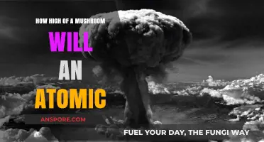 Mushroom Cloud: Atomic Blast Height