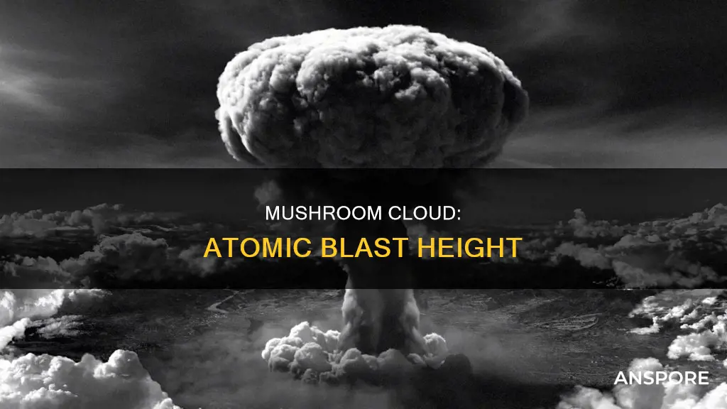 how high of a mushroom will an atomic