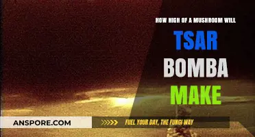 Tsar Bomba's Mushroom Cloud: How High Could It Reach?