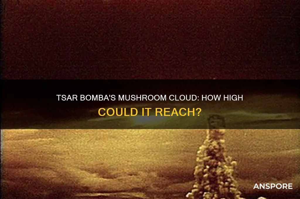 how high of a mushroom will tsar bomba make