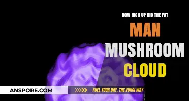 The Fat Man: A Towering Cloud of Destruction