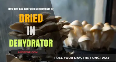 Optimal Dehydrator Temperatures for Drying Cubensis Mushrooms Safely
