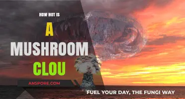 The Heat of Mushroom Clouds: Understanding Nuclear Explosions