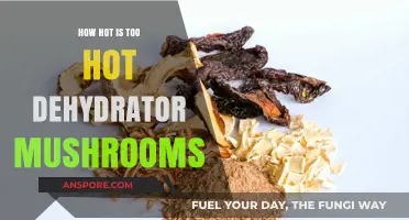 Dehydrating Mushrooms: What's the Ideal Temperature?