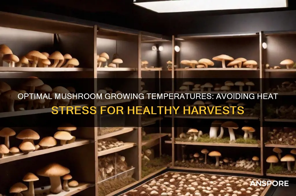 how hot is too hot growing mushrooms