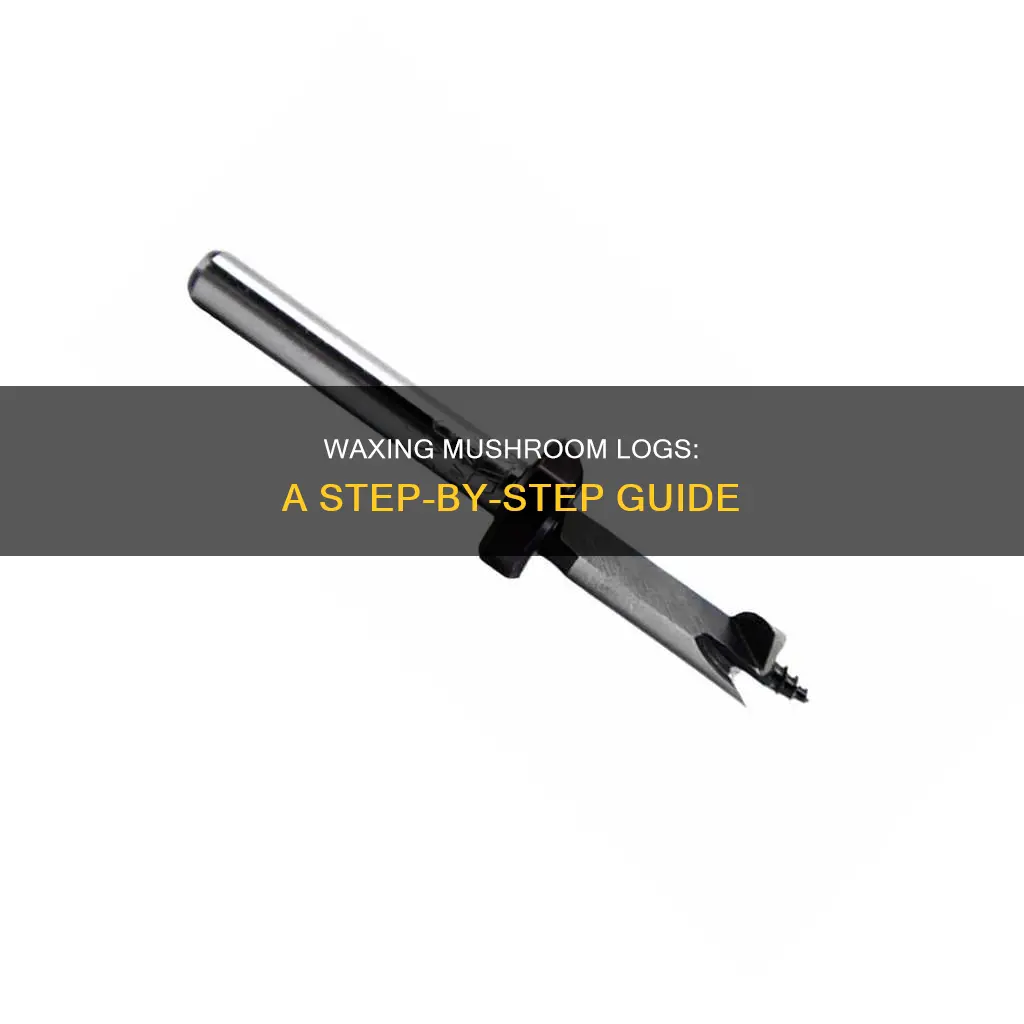 how hot wax for mushroom logs