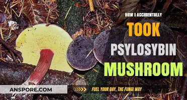 Tripping on Mistaken Identity: My Wild Mushroom Adventure