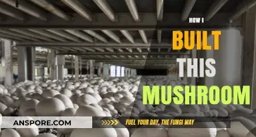 The Magic of Mushroom Cultivation: My Journey