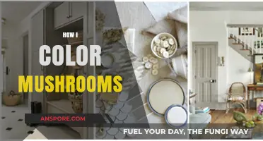 Mushroom Coloring: My Creative Process