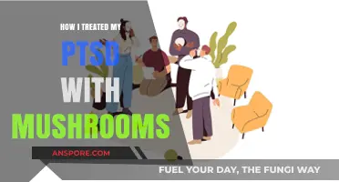 Mushrooms Helped Me Heal My PTSD