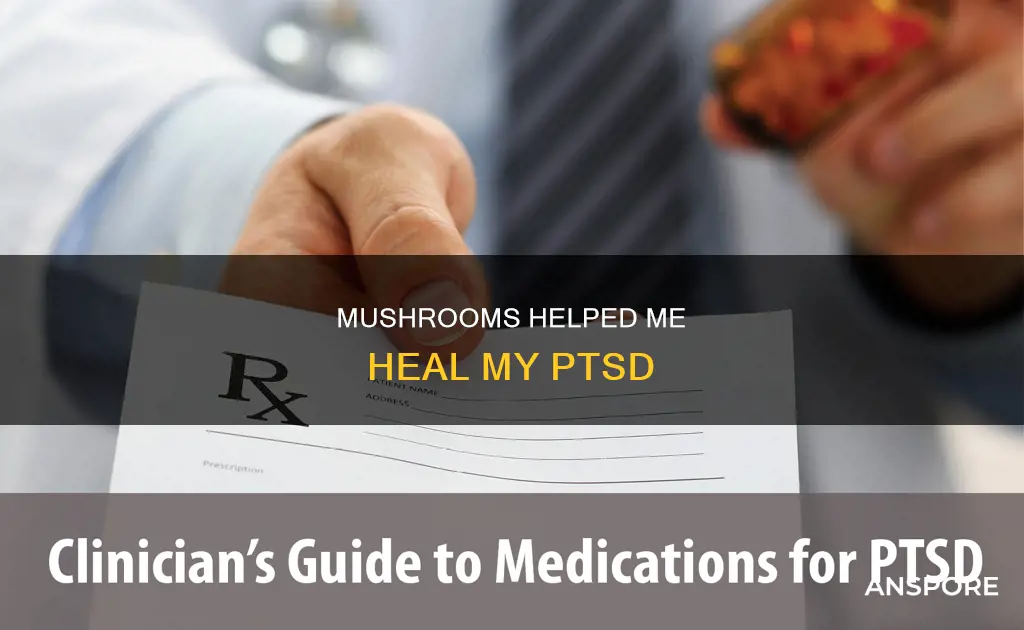 how i treated my ptsd with mushrooms