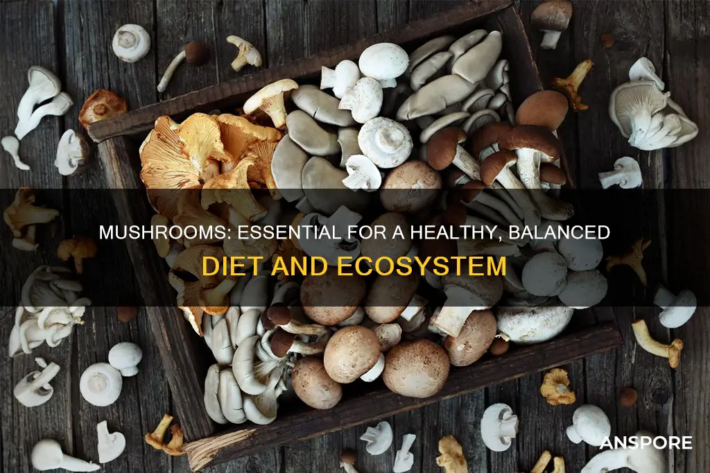 how important are mushrooms
