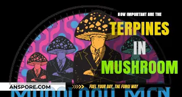 Terpenes in Mushrooms: Unlocking the Entourage Effect