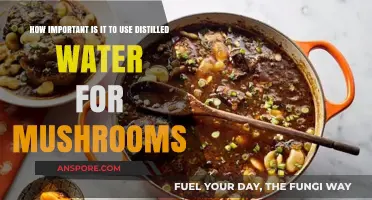 Distilled Water for Mushrooms: Essential or Optional for Optimal Growth?