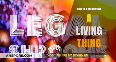 Mushrooms: A Unique Form of Life