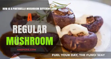 Portobello vs. Regular Mushrooms: Key Differences Explained Simply
