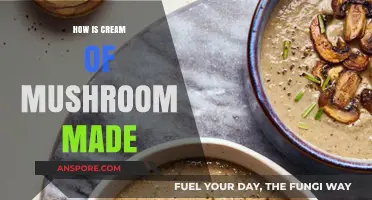 Mushroom Soups: Making the Creamiest Comfort Food
