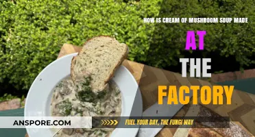 Factory Secrets: Crafting Cream of Mushroom Soup from Start to Finish