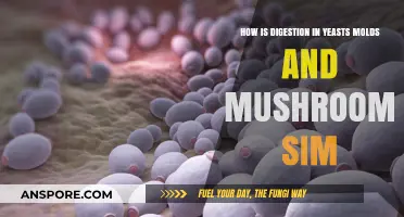Digestive Strategies: Yeasts, Molds, and Mushrooms