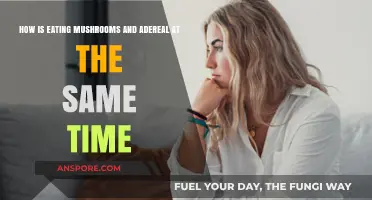 Mushrooms and Adderall: Risks, Effects, and What You Need to Know