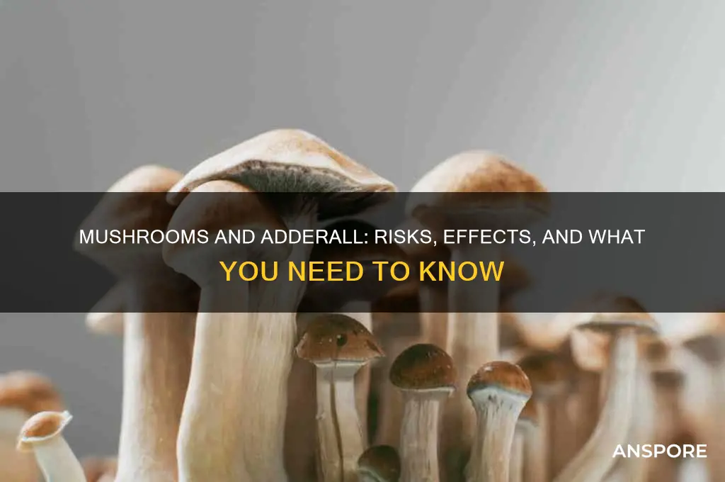 how is eating mushrooms and adereal at the same time