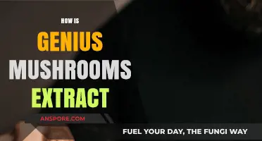 Mushroom Extract: Genius in a Bottle