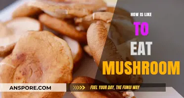Exploring the Unique Flavors and Textures of Eating Mushrooms