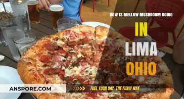Mellow Mushroom's Success in Lima, Ohio