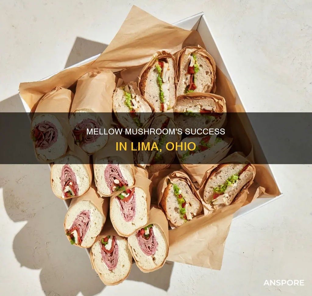 how is mellow mushroom doing in lima ohio