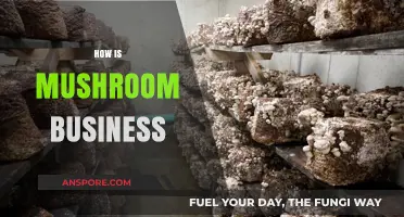 Mushroom Business: A Lucrative Venture