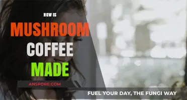 Mushroom Coffee: Blending and Brewing Process