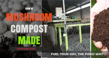 Mushroom Compost: Making Process Explained