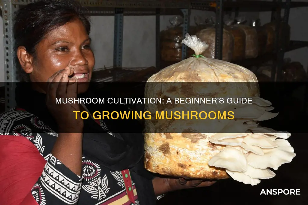 how is mushroom grown