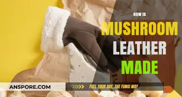Mushroom Leather: Sustainable, Eco-Friendly Fashion