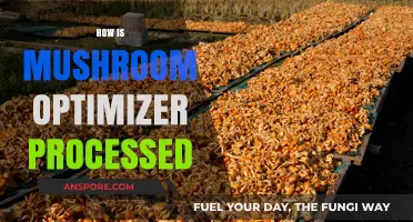 Mushroom Optimizer: Processing for Maximum Benefits